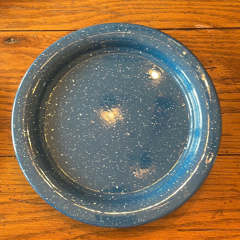 Vintage Enamel Ware Plates
